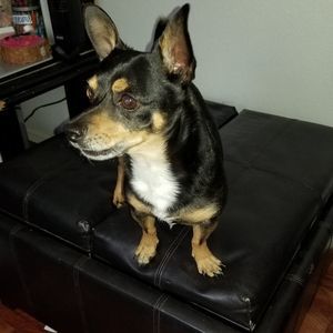 Meet your Posher, Alexandra